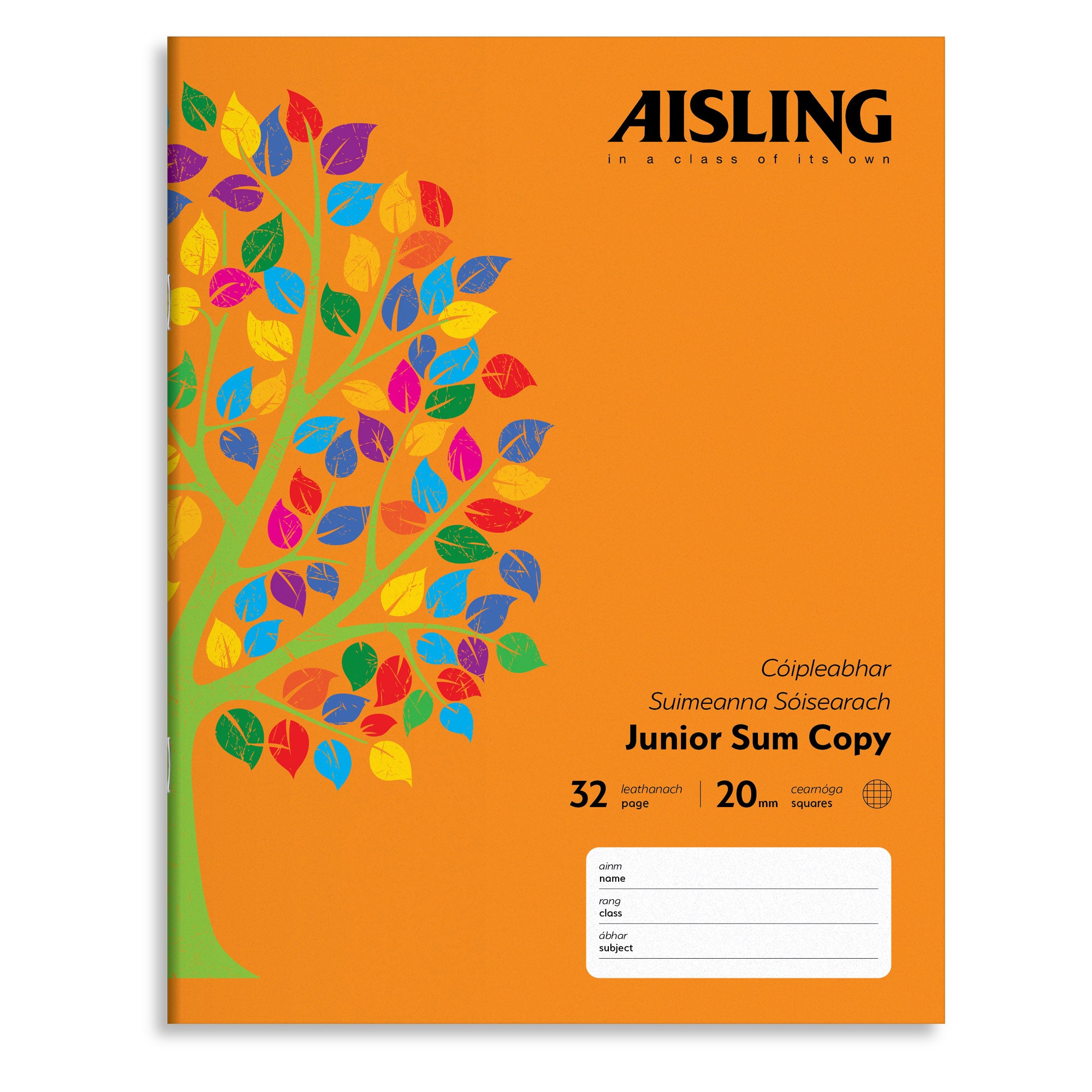 AISLING Junior Sum Copy 20mm square 32 page 226 x 178mm