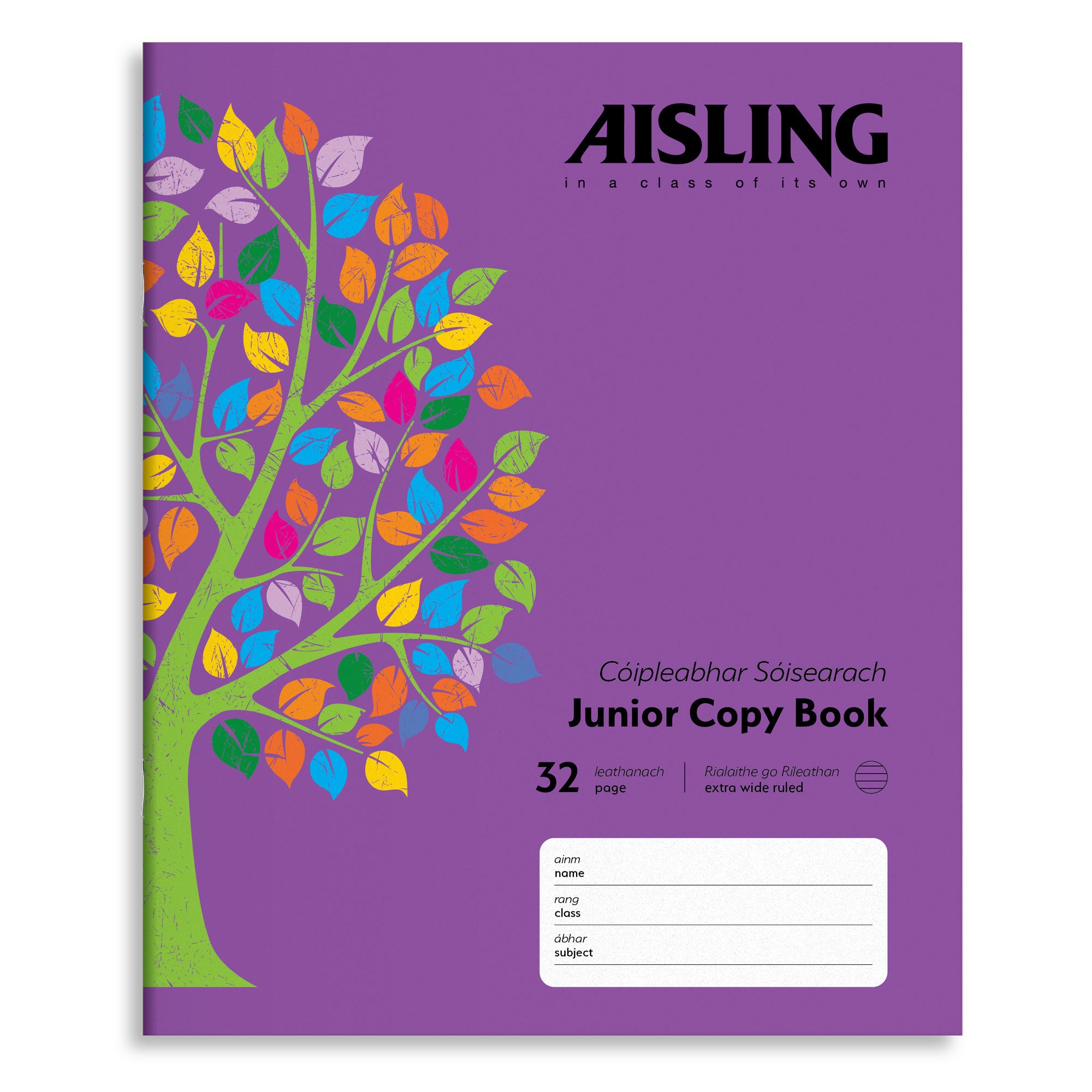 AISLING Junior Writing Copy 15mm feints 32 page 200 x 160mm
