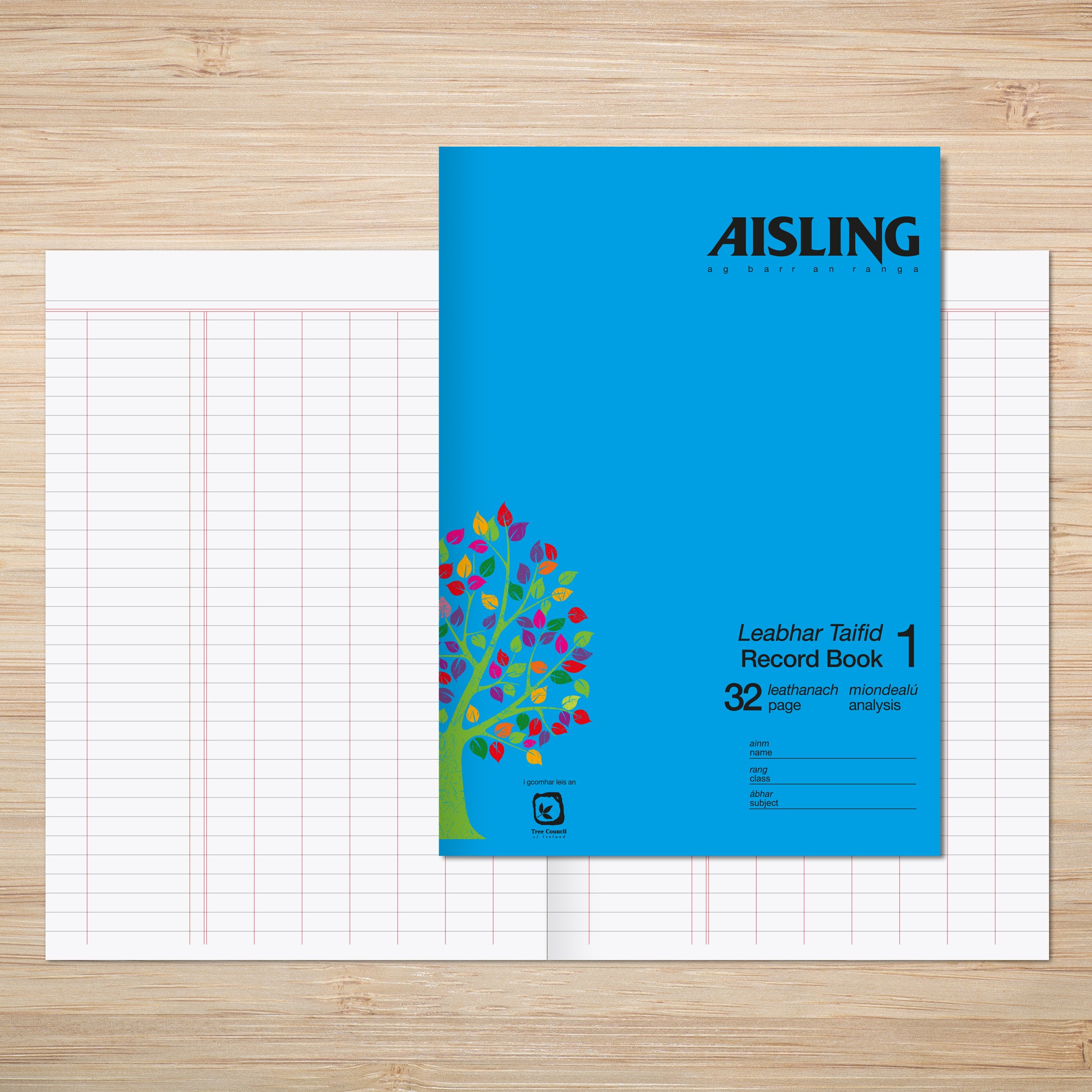 AISLING A4 Record Book 1 32 page