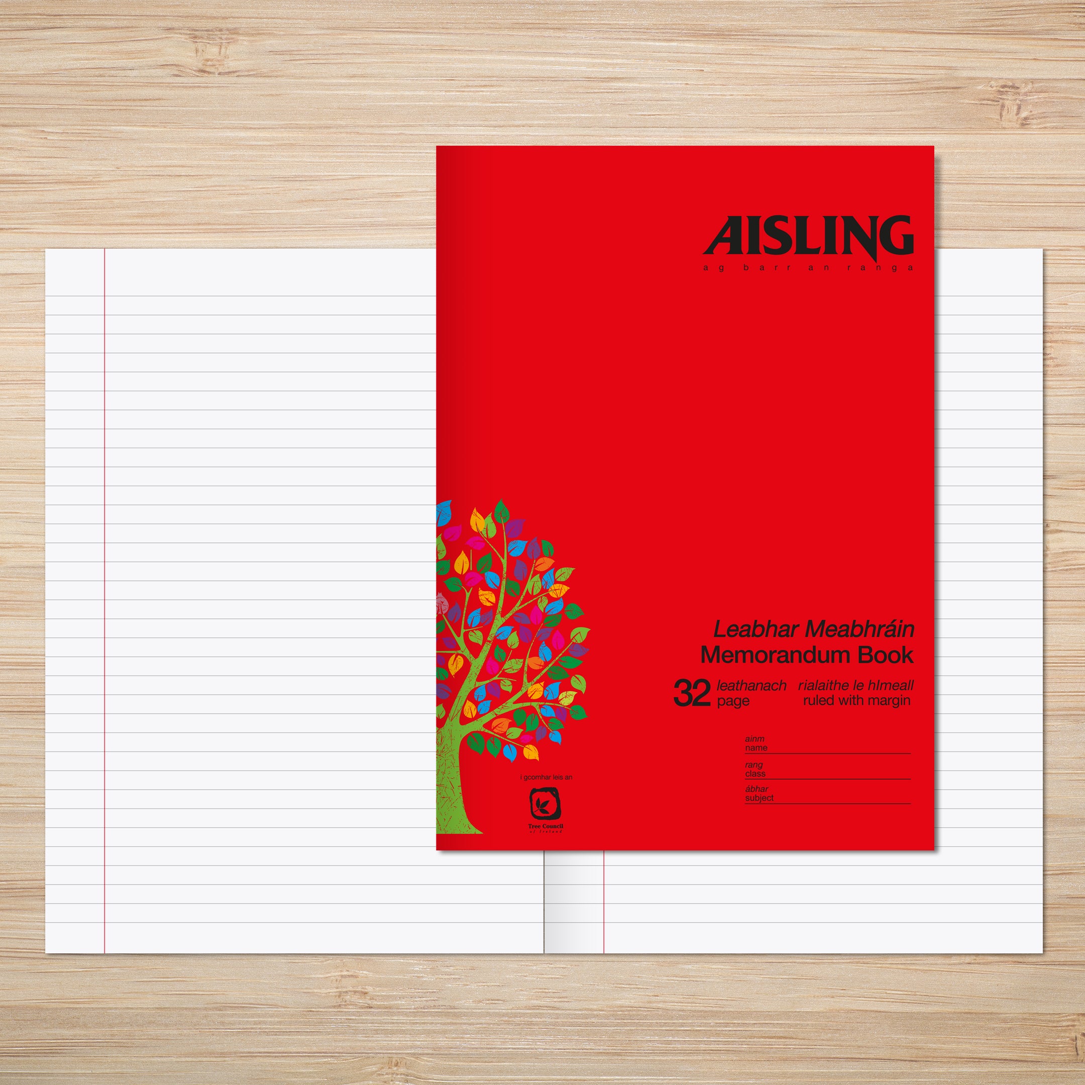 AISLING A4 Memorandum Book 32 page