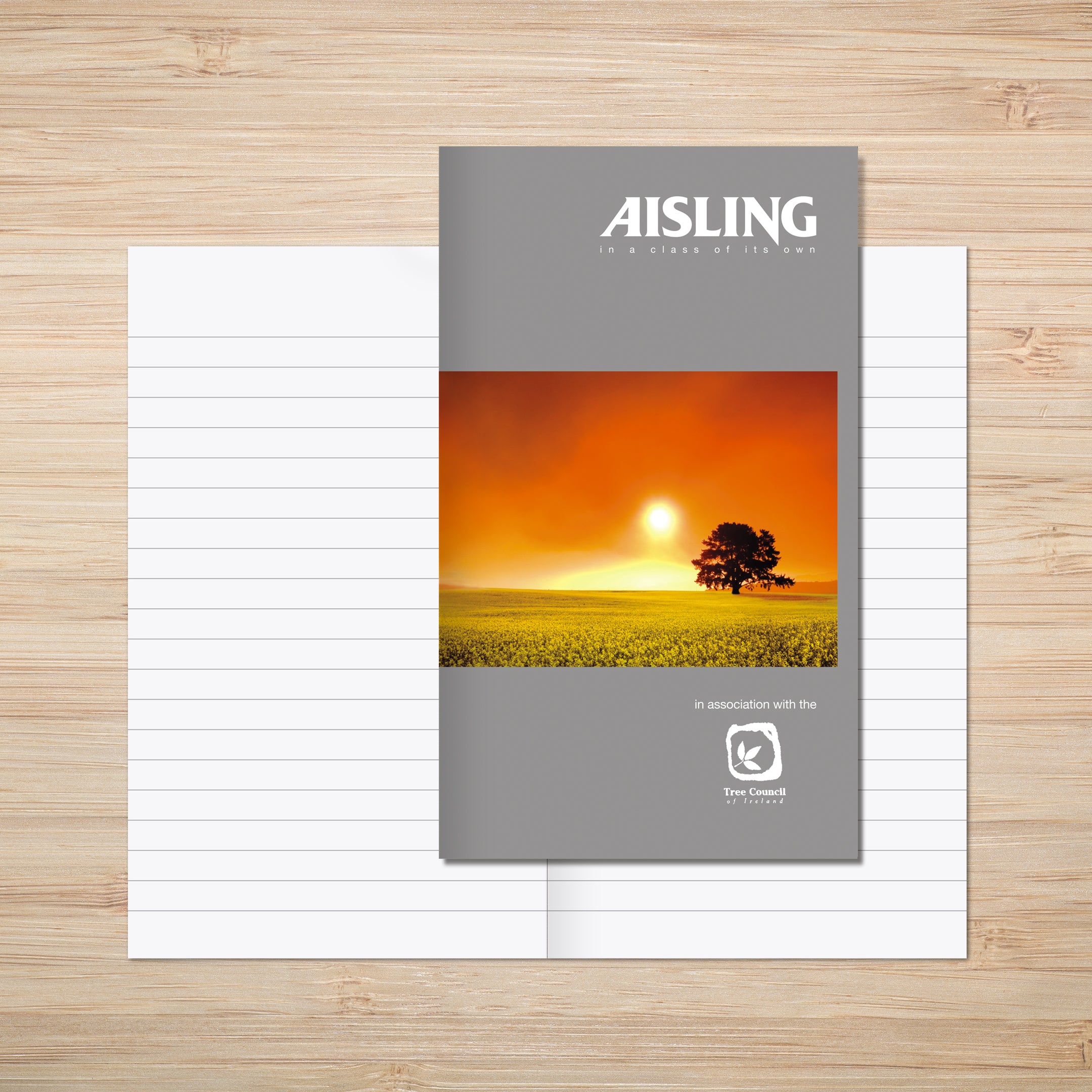 AISLING A6+ Junior Notebook 165 x 100mm 100 page