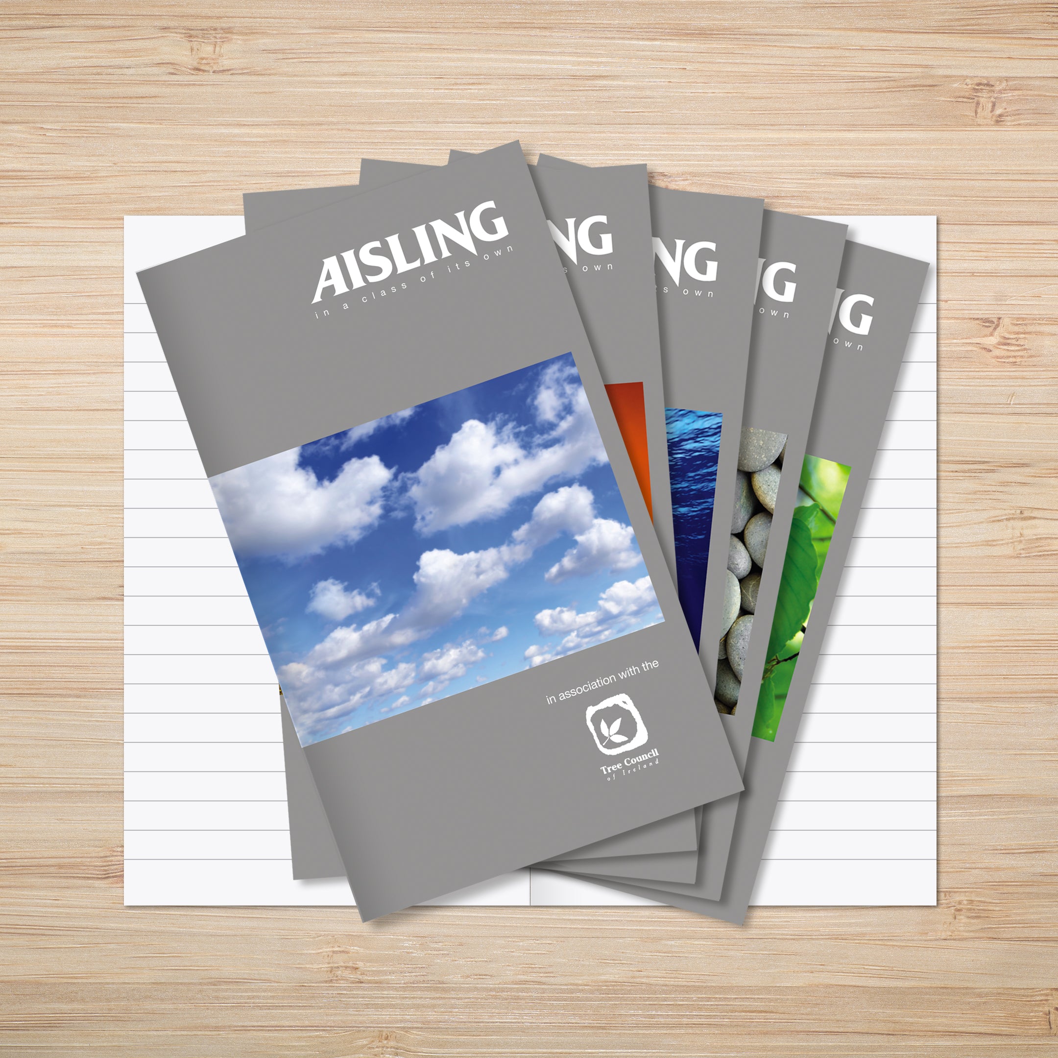 Aisec Notebook AISLING A6+ Junior Notebook 165 x 100mm 100 page – Aisling Stationery