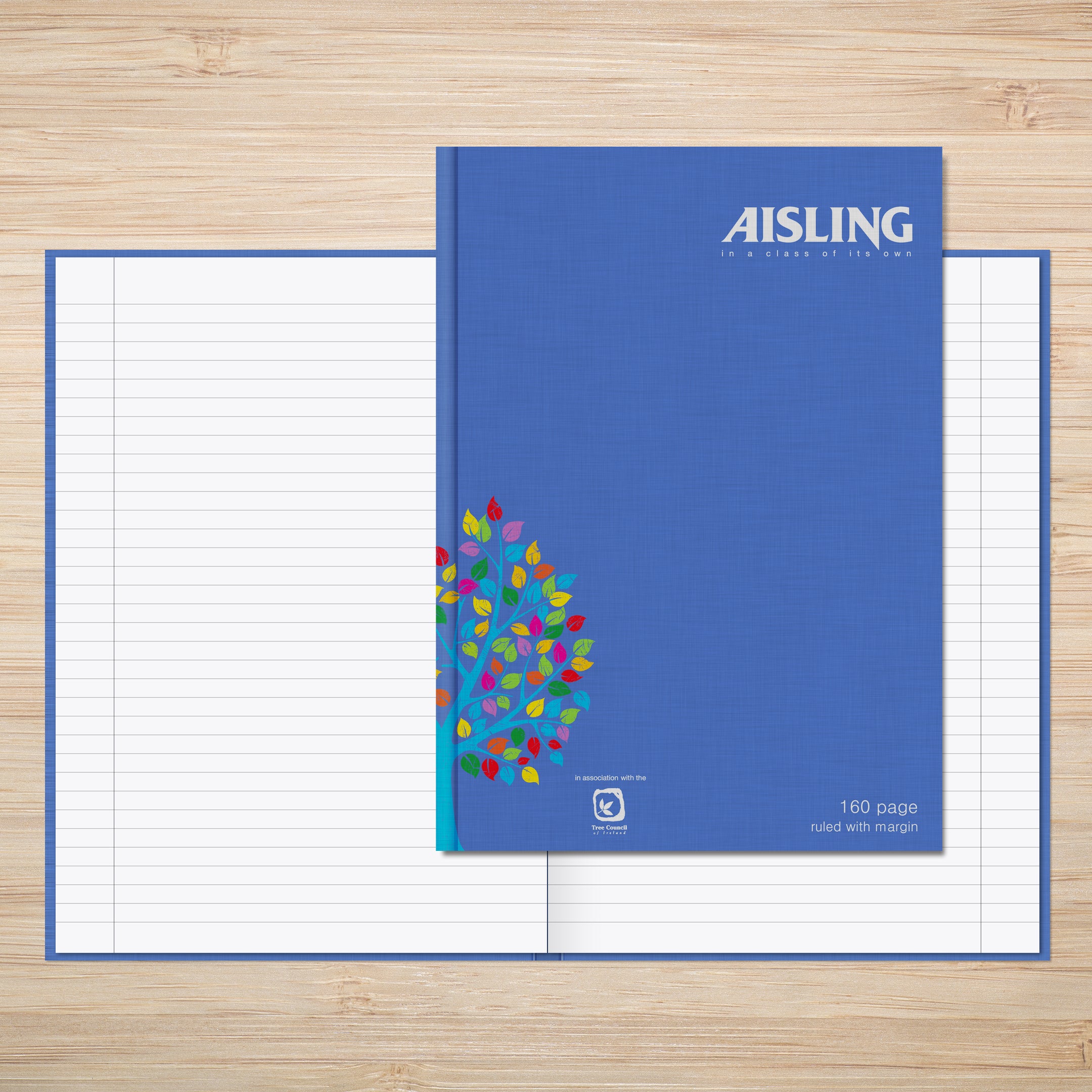 AISLING A4 Casebound book Blue 160 page