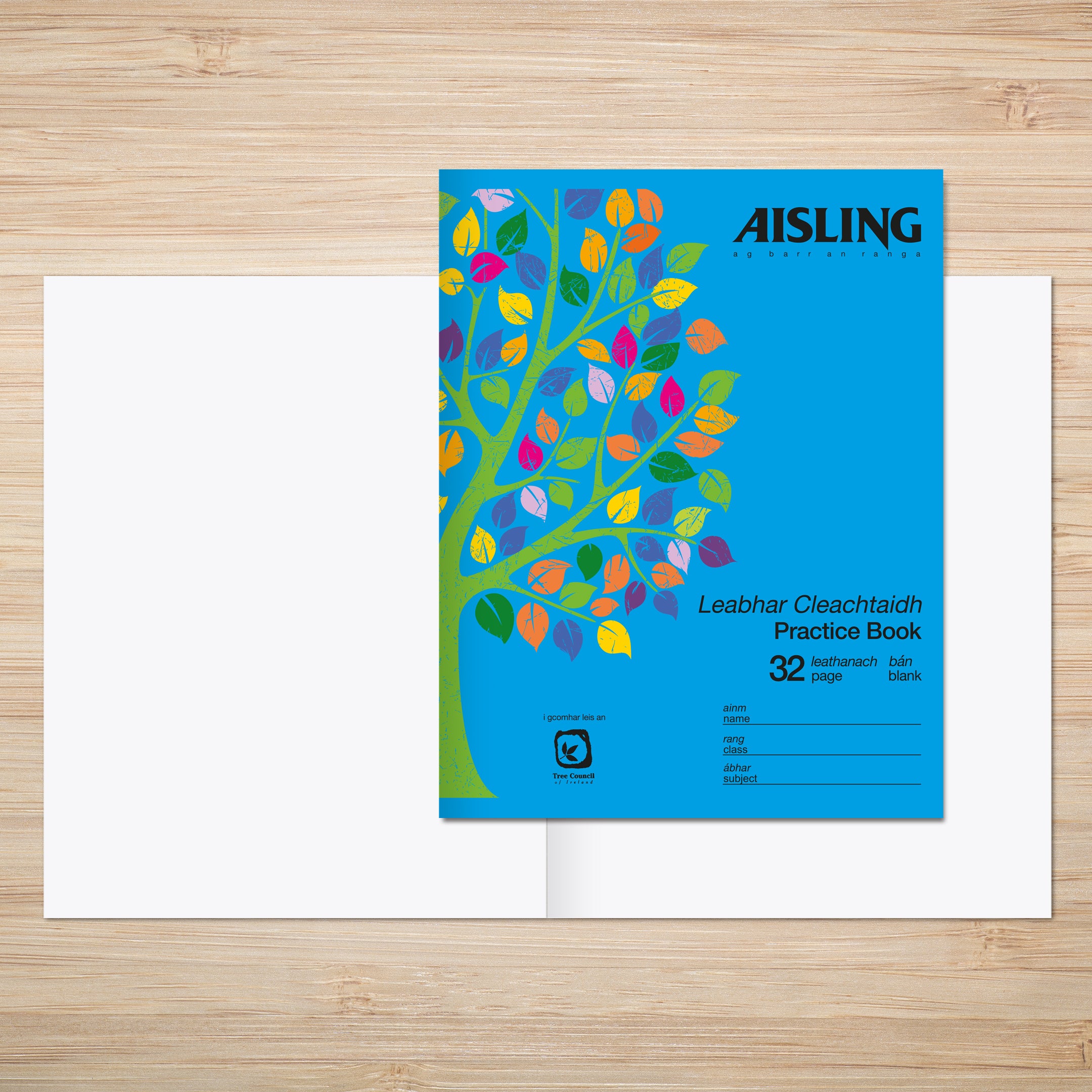 AISLING Junior Plain Jotter 32 page 226 x 178mm