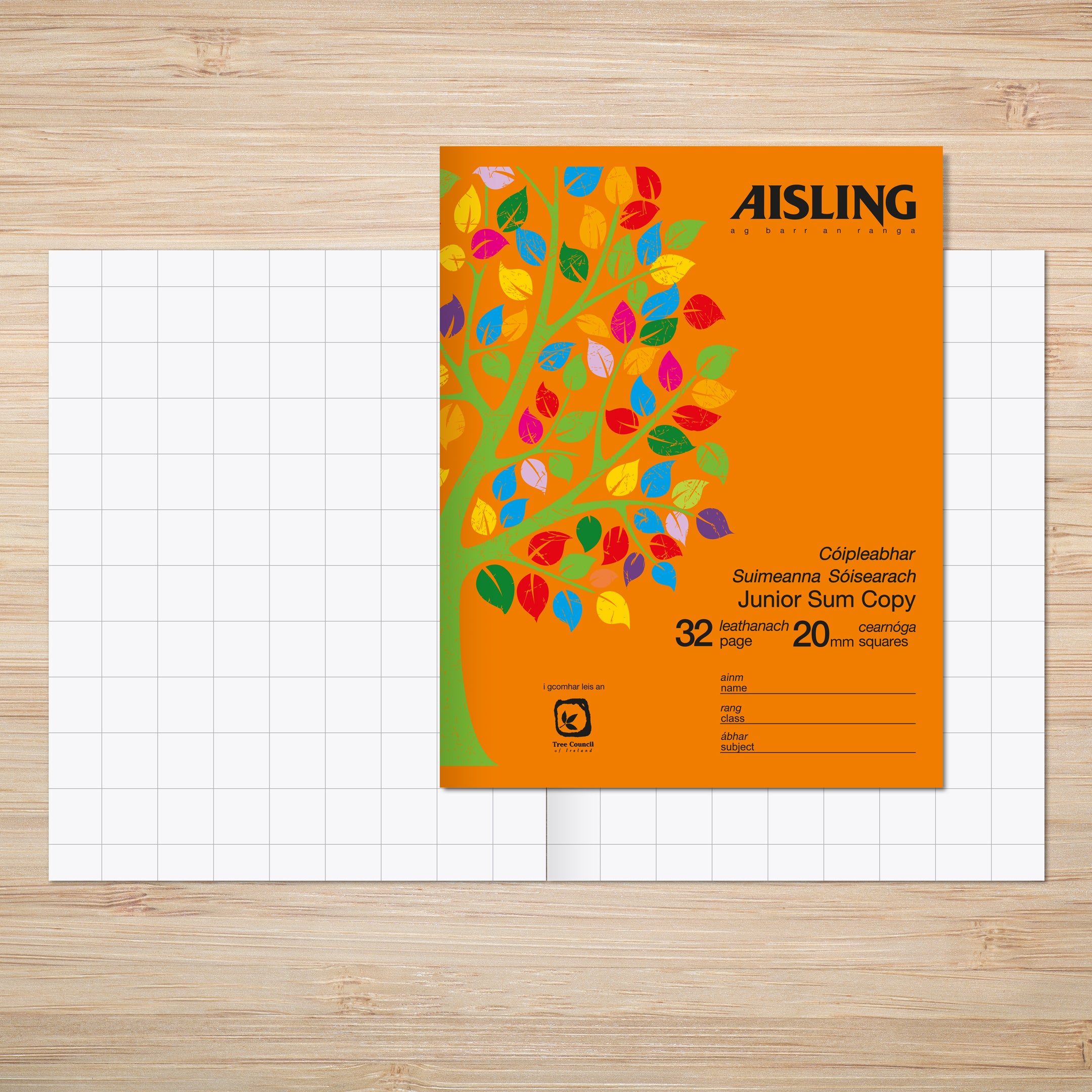 AISLING Junior Sum Copy 20mm square 32 page 226 x 178mm