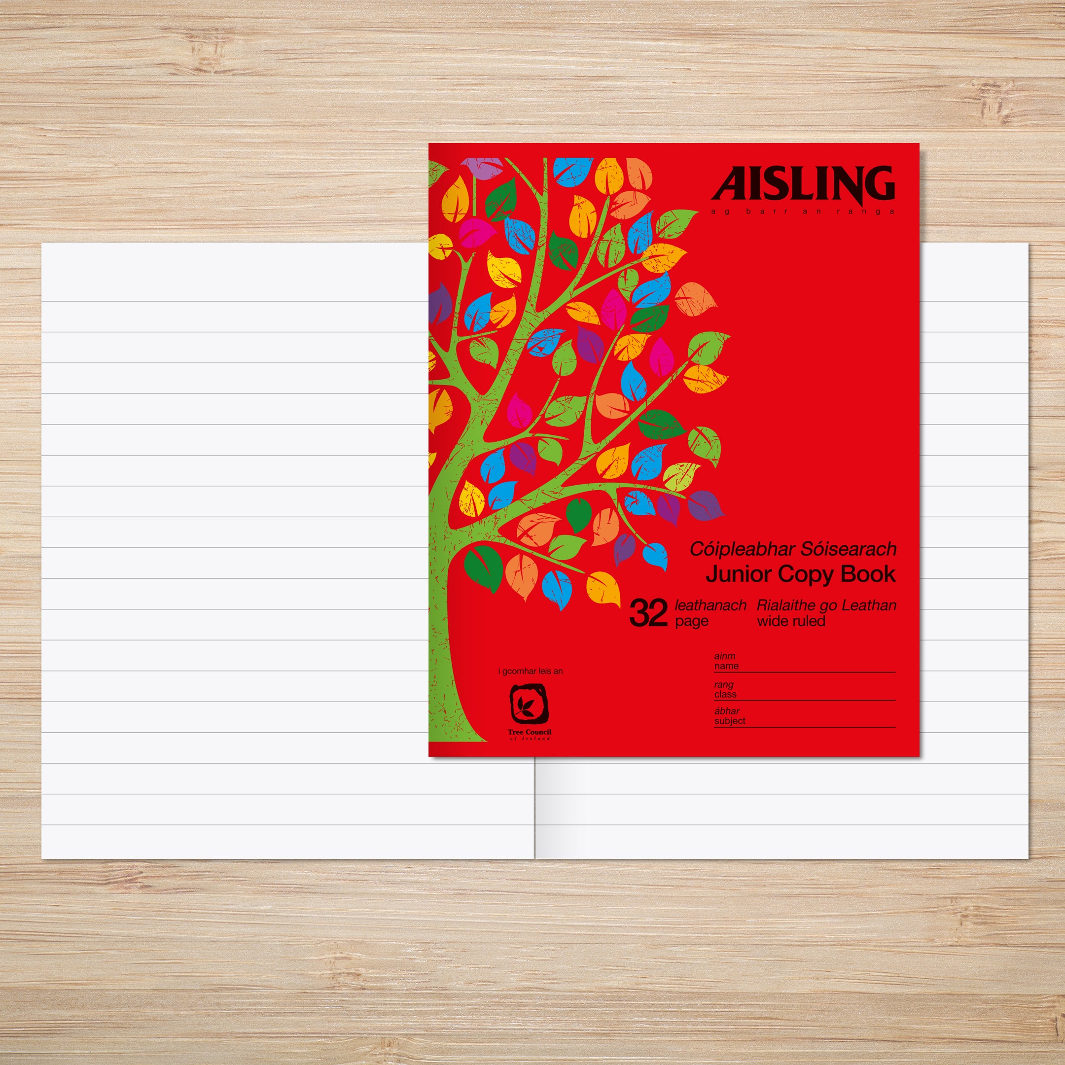 AISLING Junior Writing Copy 10mm feints 32 page 200 x 160mm