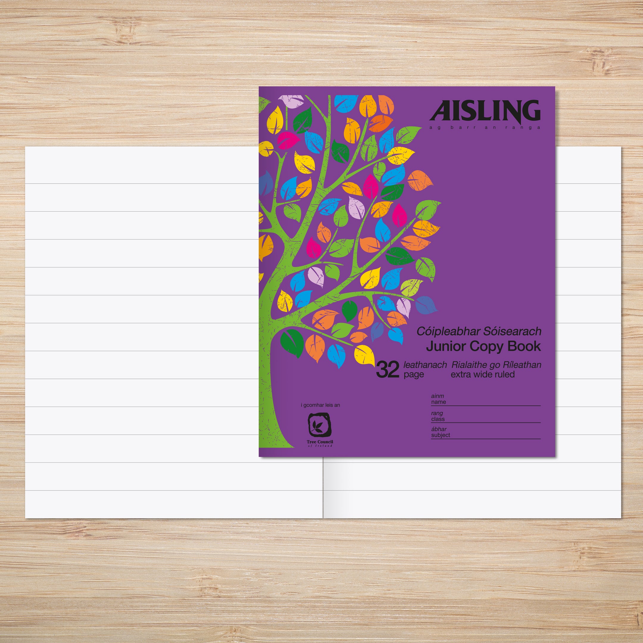 AISLING Junior Writing Copy 15mm feints 32 page 200 x 160mm