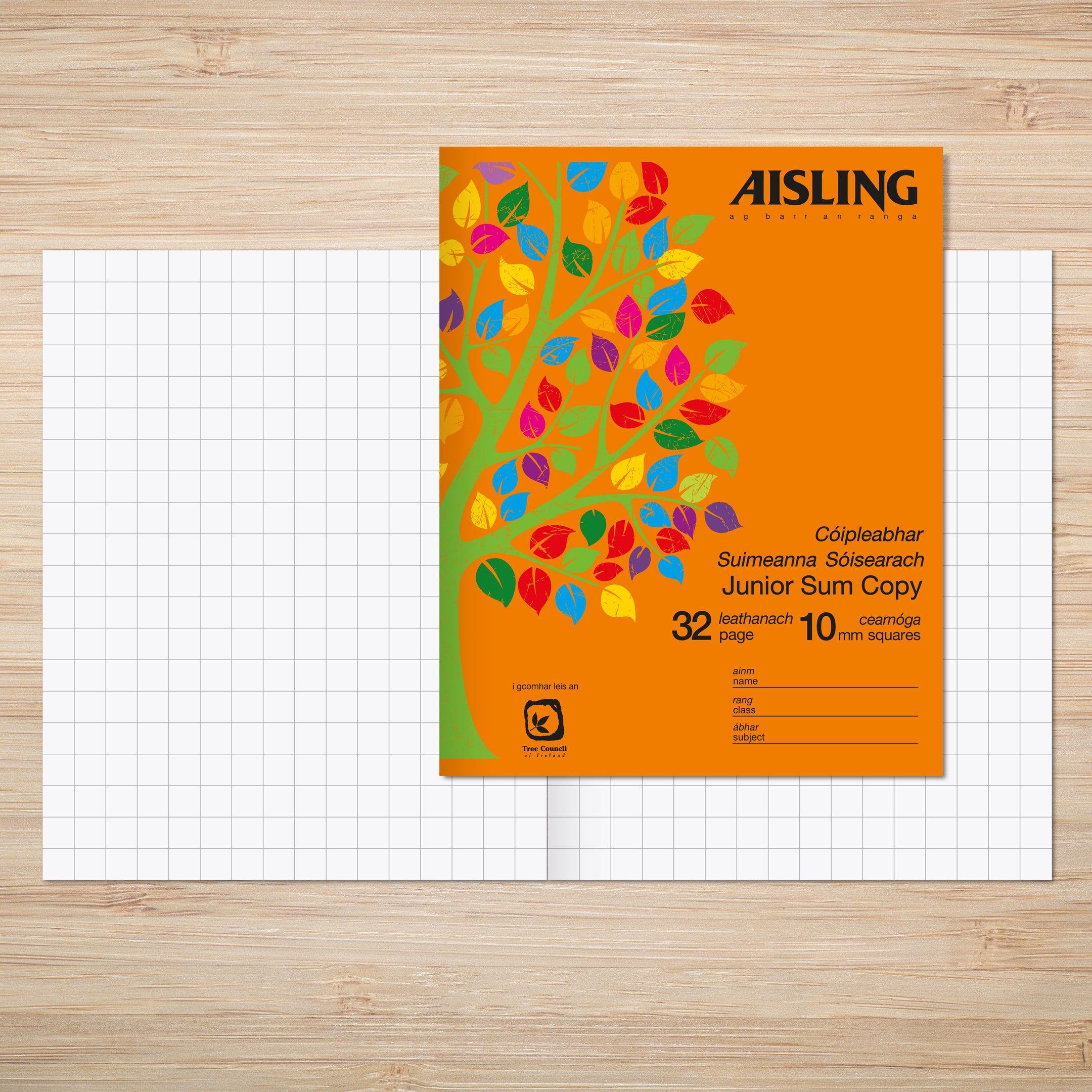 AISLING Junior Sum Copy 10mm square 32 page 200 x 160mm